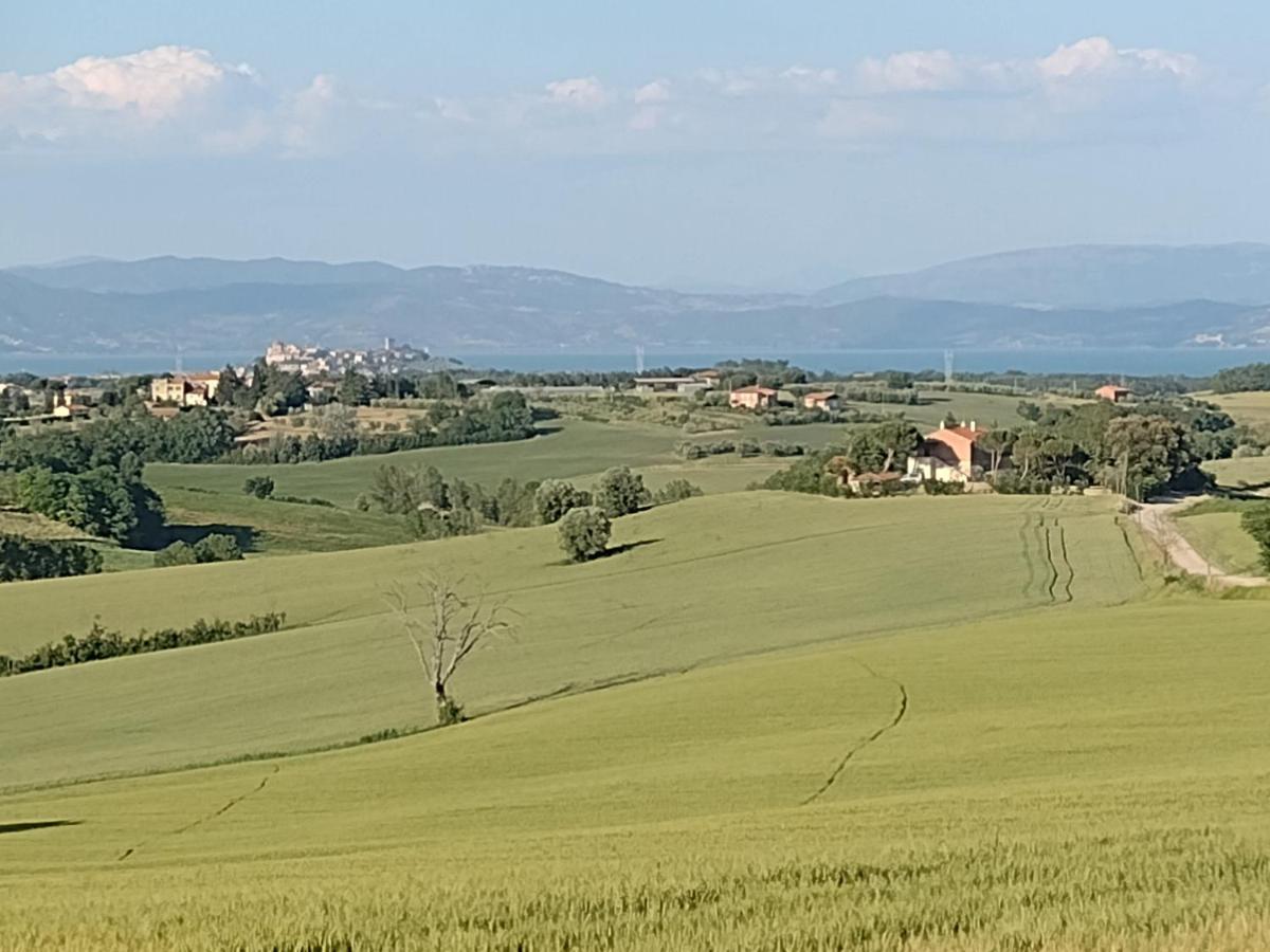 فيلا Casa La Selvella Gioiella المظهر الخارجي الصورة